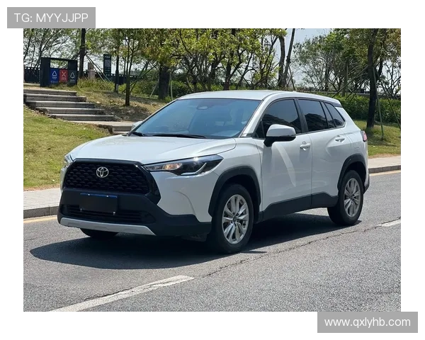 2.0L自动挡油耗6L，丰田全新家用SUV，低价高配，实拍卡罗拉锐放